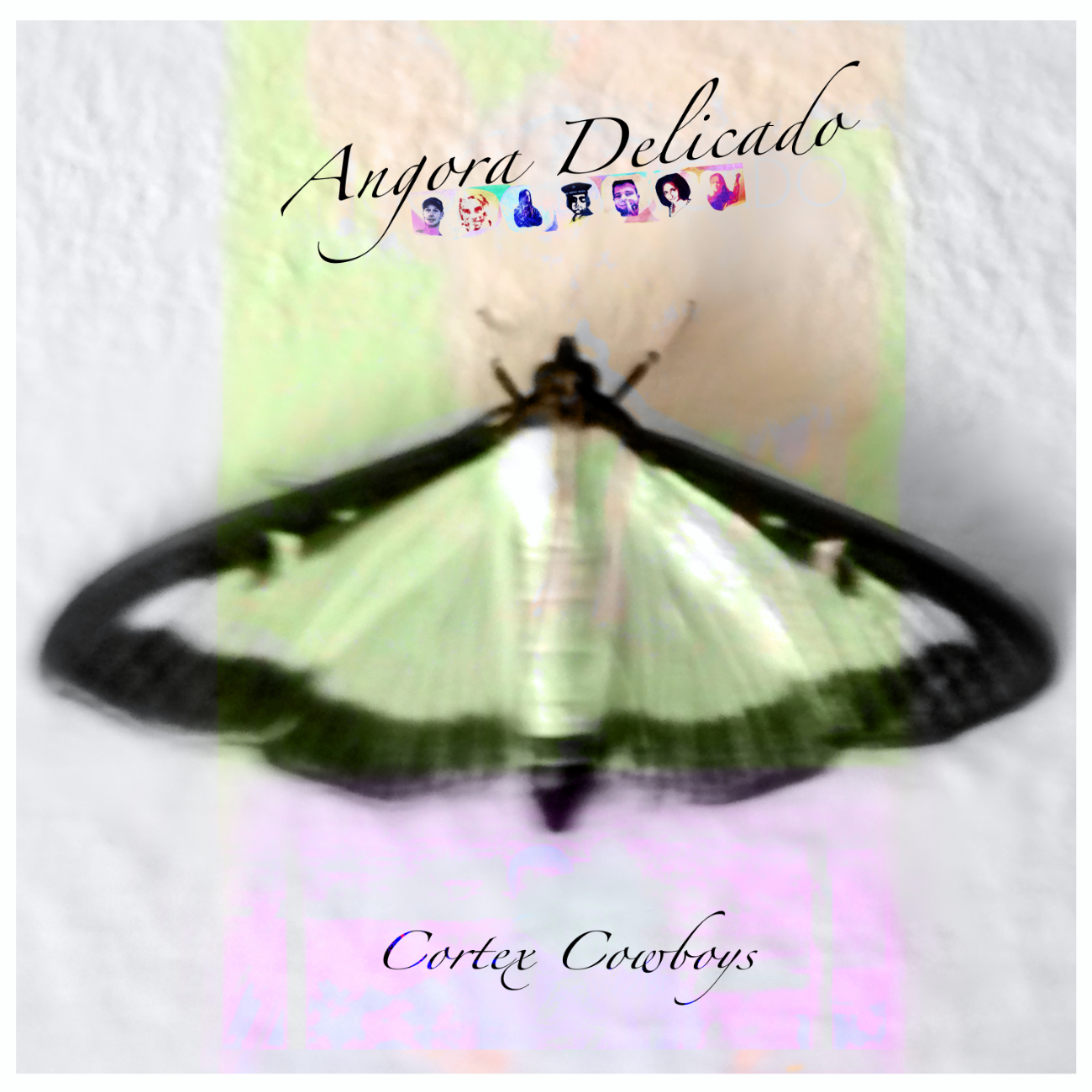 Angora Delicado: Cortex Cowboys (#spamindierecords)